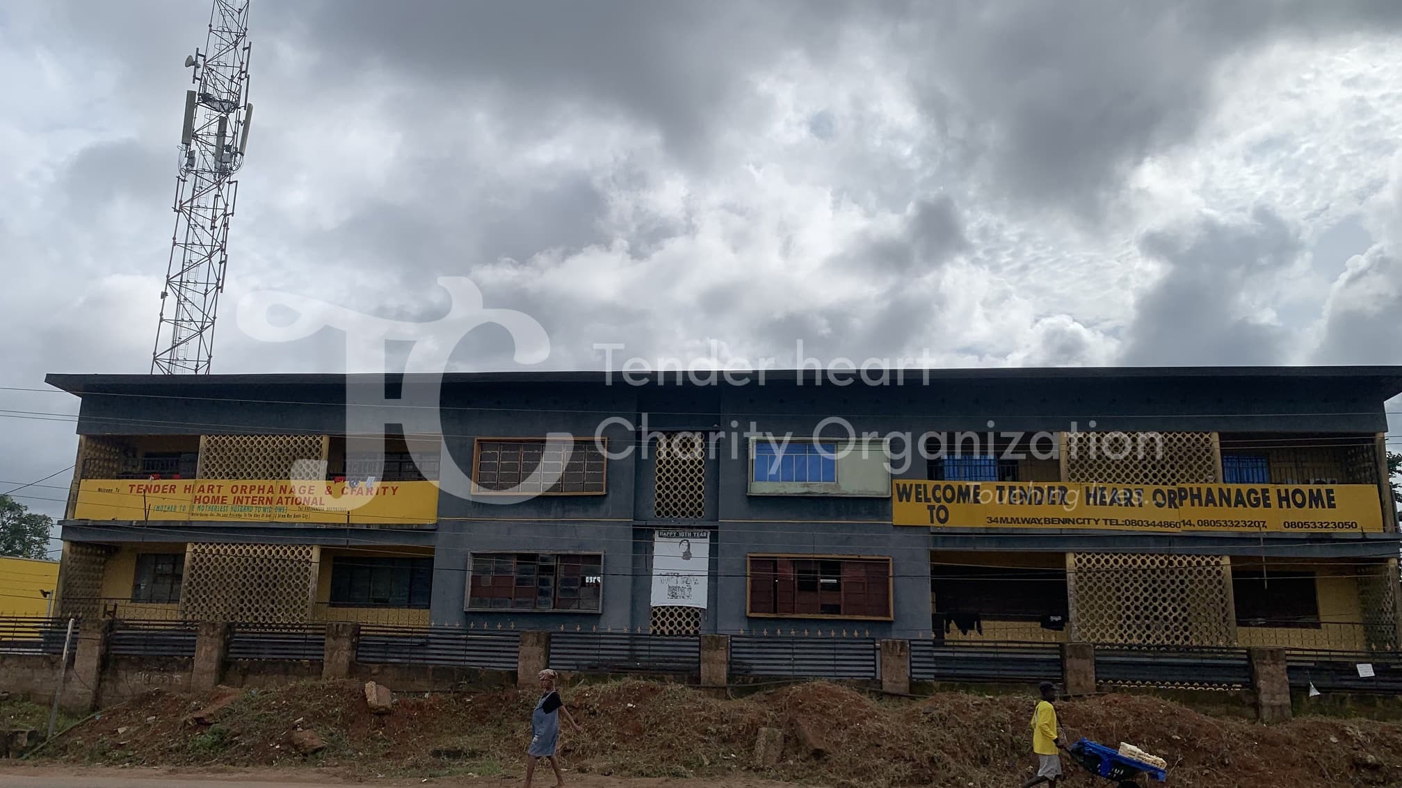 Tender Hearts photo 2